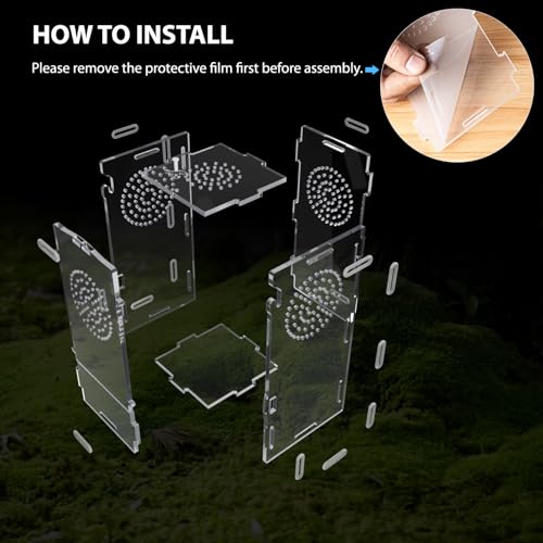Jumping Spider Enclosure (Small-8''x4''x4'')
