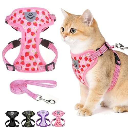 Escape Proof Cat Harness and Leash Set (Strawberry / Medium)