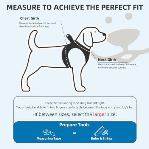 Dog Harness Collar and Leash Set No Pull for Small Medium Sized (Light Blue / S (CHEST 14.5"-16"))