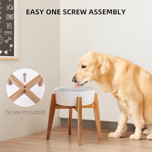 Elevated Dog Bowl Stand for Large Dogs (XLarge - 1 Pack)