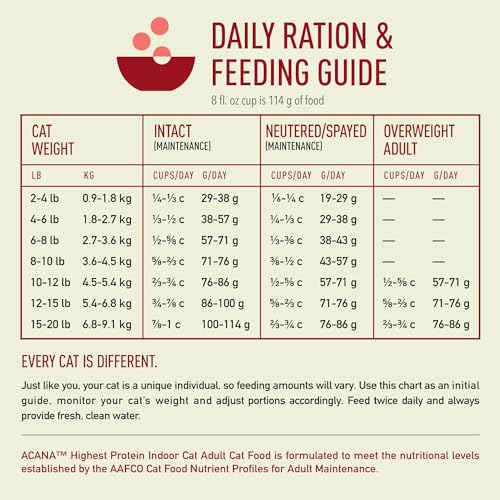 Highest Protein Dry Cat Food Indoor Cat Food Recipe 10lb Bag (10 Pound (Pack of 1))