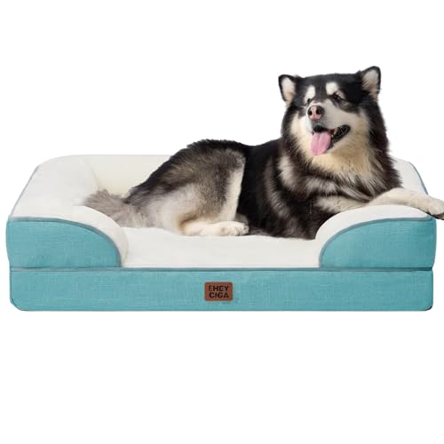 Orthopedic XXL Dog Bed (Turquoise Blue / 48.0"l X 35.0"w X 8.0"th)