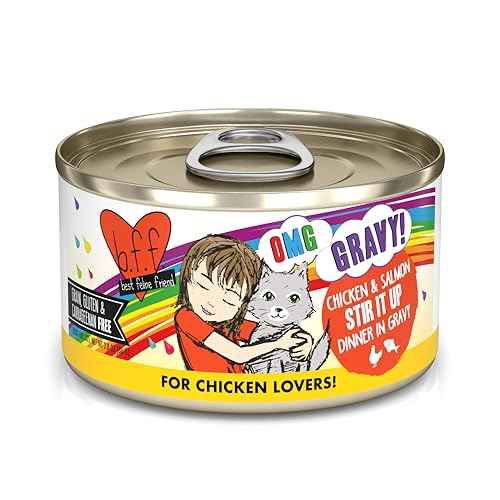 B.F.F. OMG Best Feline Friend Oh My Gravy! (2.8 Ounce (Pack of 12))