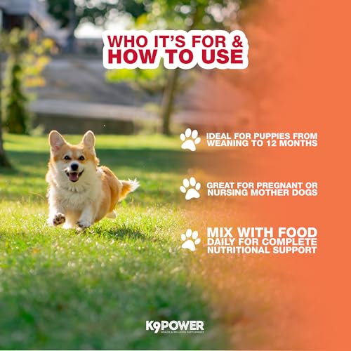 K9Power Puppy Gold 3lb (1 lb (Pack of 3))