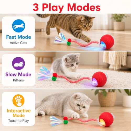 Interactive Cat Toy Ball (A-Red)