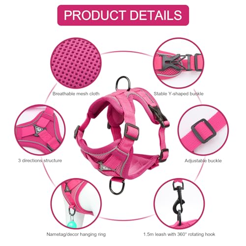 Cat Harness and Leash Set (Pink / S)