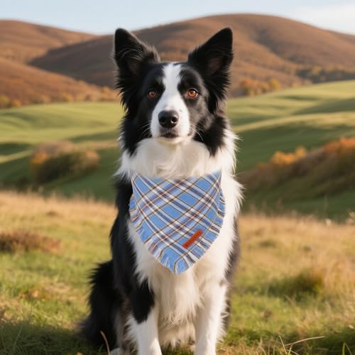 Dog Bandana Boy (Large / Blue)