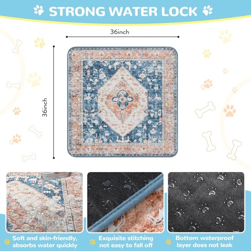 Super Absorbent Washable Pee Pads for Dogs (Beige Blue / 3FT x 3FT (Pack of 2))