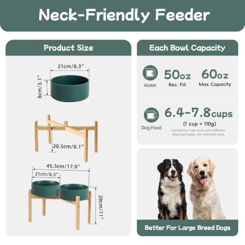 Dog Bowls Elevated (Matte Dark Green)