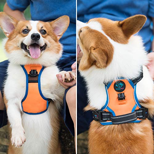 No Pull Dog Harnesses for Small Dogs Reflective Adjustable (Orange / Small)