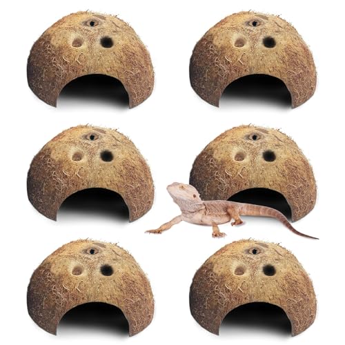 Natural Coconut Reptile Hideouts Lizard (Natural Surface / 6 PCS)