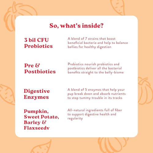 Pumpk'n Spice Soft Dog Treat + Probiotic Supplement Bundle