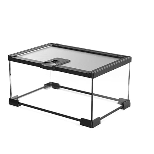 Mini Reptile Glass Terrarium Tank (12x8x6inch)