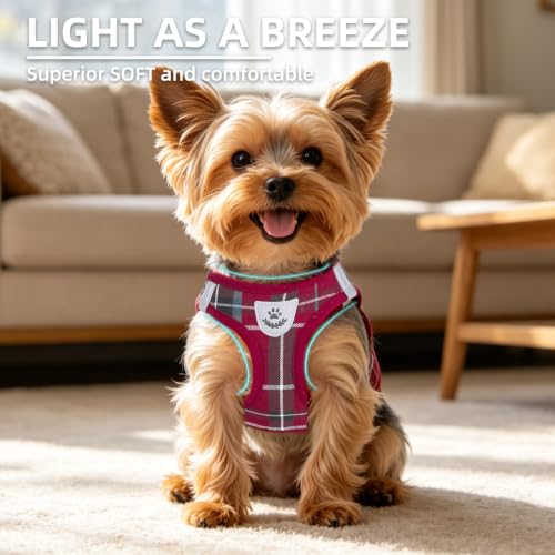 Dog Harness Collar and Leash Set No Pull for Small Medium Sized (Red / M (CHEST 16"-18"))