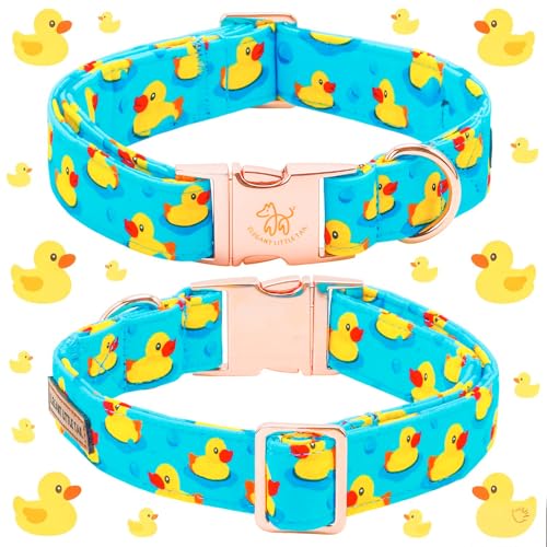 Boy Dog Collar (Duck / Medium (Pack of 1))