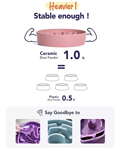 Ceramic Slow Feeder Dog Bowls Small Breed (Pink Bloom / S-0.6 Cups)