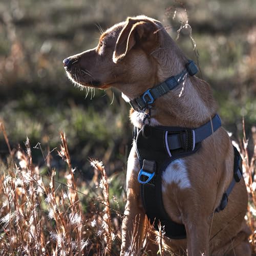 Embark No Pull Dog Harness (XL / Black)