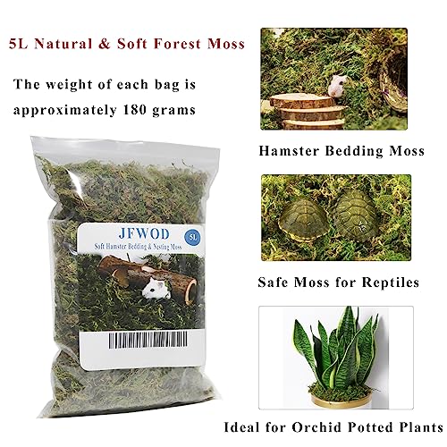 5L Forest Moss for Hamster Syrian Gerbils Bedding (5L / Natural Moss)