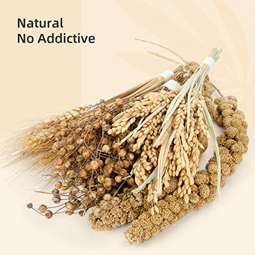 Natural & Soft Hamster Bedding Mate (Harvest Version)