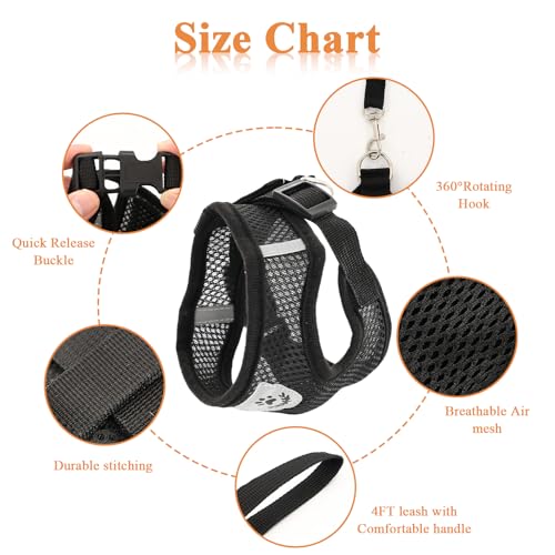 Cat Harness and Leash for Walking