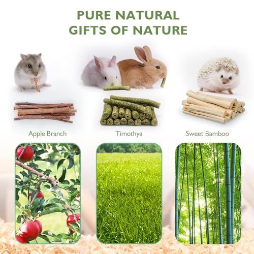 300g Guinea Pig & Rabbit Chew Toys with Apple & Timothy Sticks (300g)