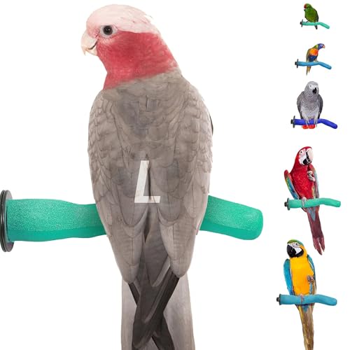 Safety Pumice Bird Perch (Green / Large 12")