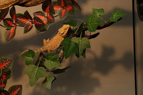 Reptile Corner Branch Terrarium Plant Decoration with Suction Cup for Amphibian Lizard Snake Climbing (Climbing Branch)