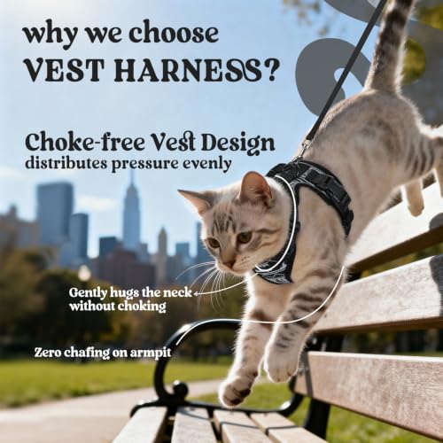 Cat Harness and Leash Set (M / Pixel Tabby)