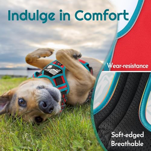 Dog Harness No Pull for Small Dogs (Small / Red & Teal)