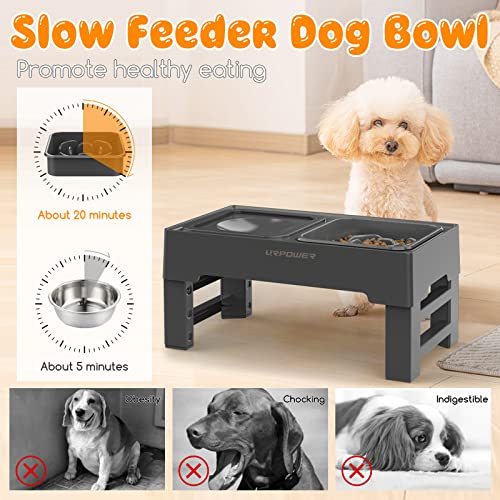 2-in-1 Elevated Slow Feeder Dog Bowls with No-Spill Water Bowl (Grey / Slow Feeder)