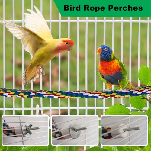 24 Inch Bird Perch Rope with 360° Free Rotating Stand (polychrome / Medium)