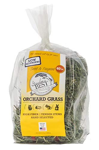 Orchard Grass Bale (2.5 Pound (Pack of 1))