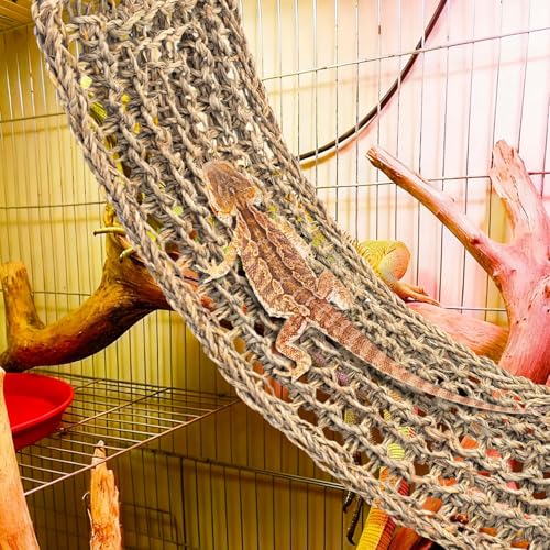Bearded Dragon Hammock