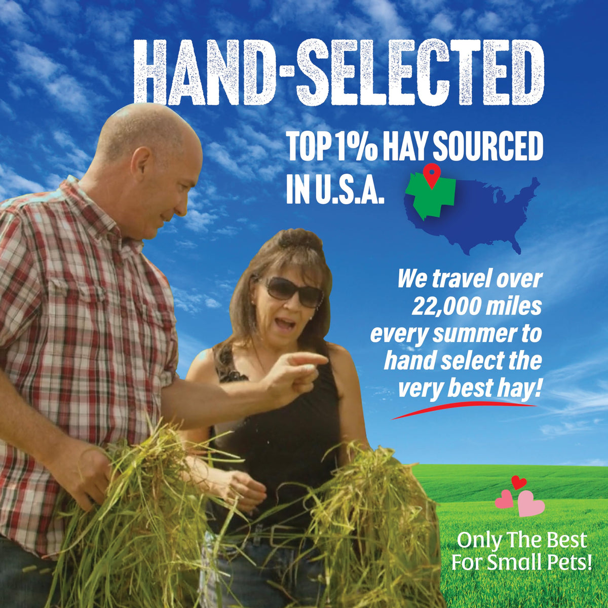 1st Cutting Timothy Hay (5 Pound (Pack of 1))