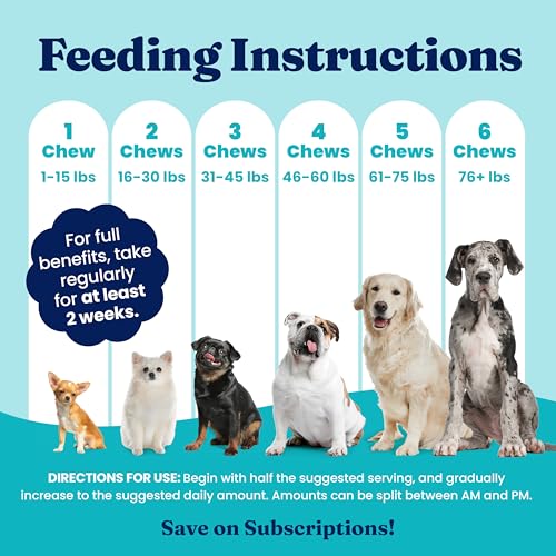 Dog Allergy Chews for Itchy Skin & Immune Support (120 Count)