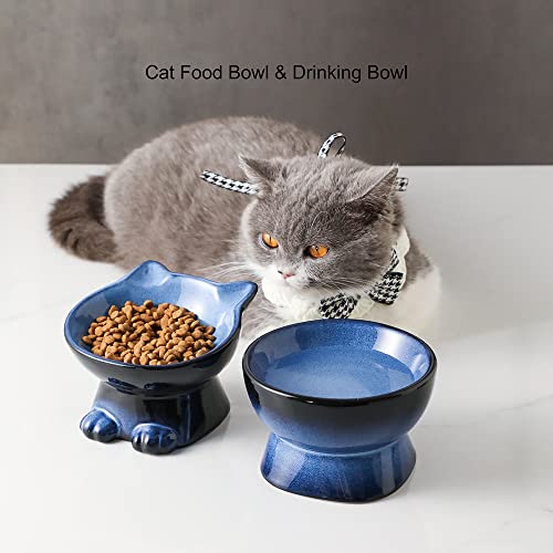 Elevated Cat Bowls (4.5 OZ+8 OZ / Blue & Black)