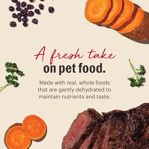 Wholemade Grain Free Beef Recipe (2 Pound (Pack of 1))