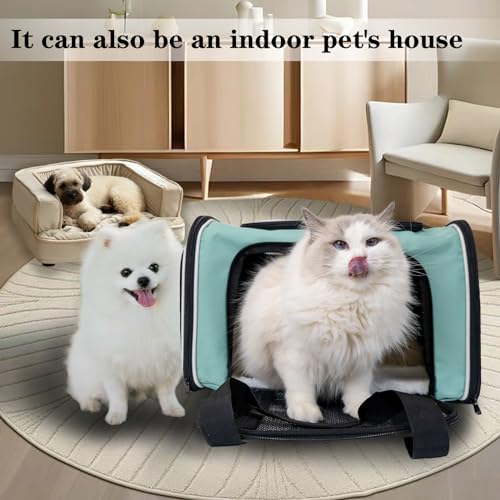 Cat Dog Carrier for Small Medium Pet Carriers Up to15Lbs (18.0"L x 11.0"W x 11.0"H / Green)
