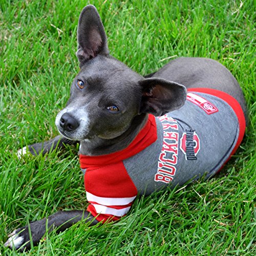 Ohio Hoodie Tee Shirt (Ohio State Buckeyes / Small)