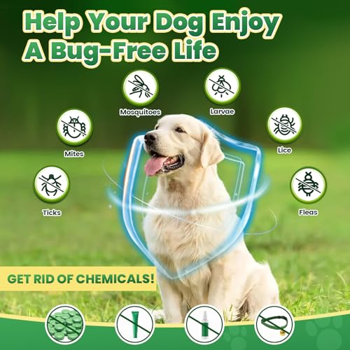 Flea and Tick Prevention for Dogs