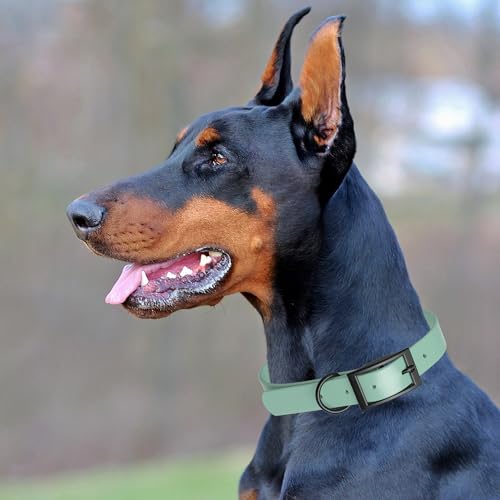 Biothane Waterproof Dog Collar Strong Coated Nylon Webbing with Black Hardware Odor (W3/4" x L15-18" / Sage Green)