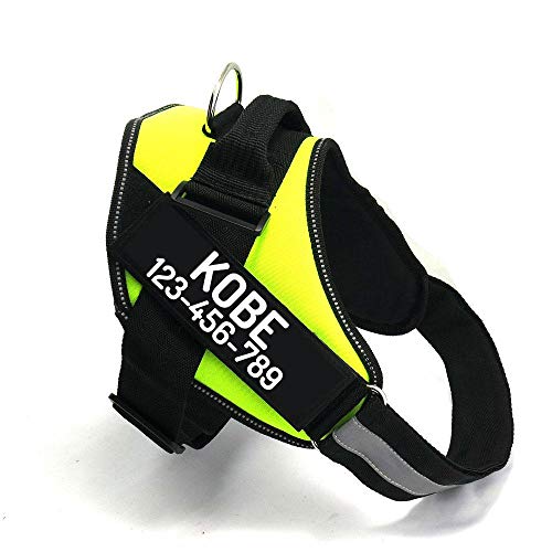 Custom No Pull Dog Harness with Name and Phone Number (S (10-19LBS) / Green)