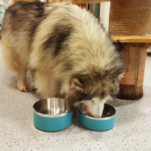 Stainless Steel Dog Bowl