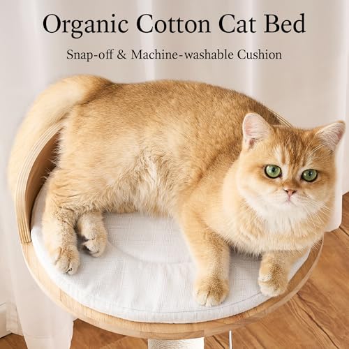 Modern Solid Wood Cat Tree Tower (49 Inch-Turntable Toy)