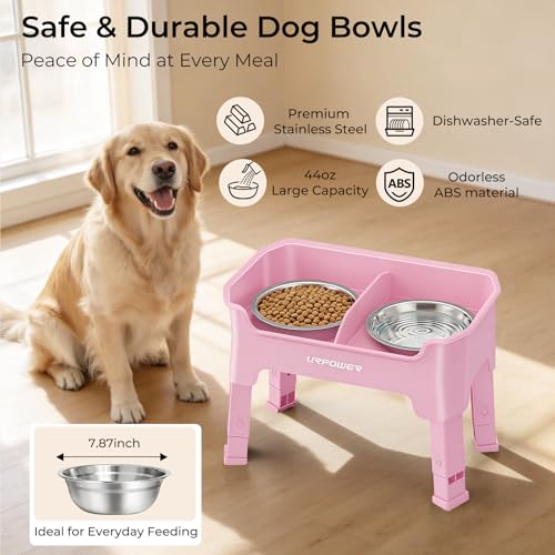 Mess Proof Elevated Dog Bowls (Pink / Medium)