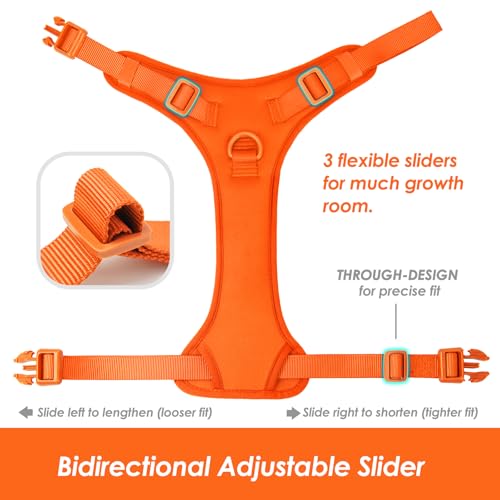 No Pull Dog Harness for Large Sized Dogs Puppy Vest No Choke (Orange / XL(Neck:24.8-38.6", Chest:29.1-45.3"))