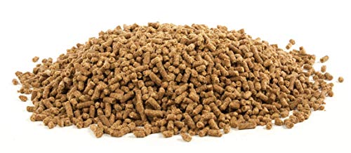 Equine Trace Minerals