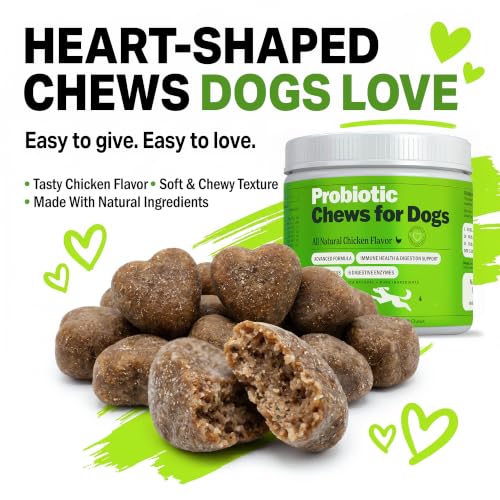 Dog Probiotic Chews (Probiotics - 120 Soft Chews)