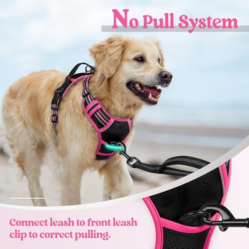 Dog Harness No Pull for Large Dogs with 2 Leash Clips (X-Large / Black & Hot Pink)