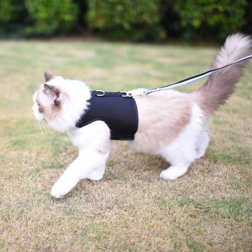 Cat Harness and Leash Set for Walking Escape Proof (Black / S 4-6 lbs)